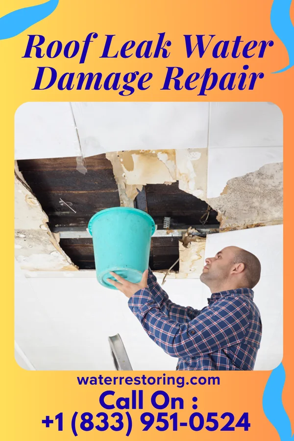 Roof Leak Water Damage Repair in Sattley, CA